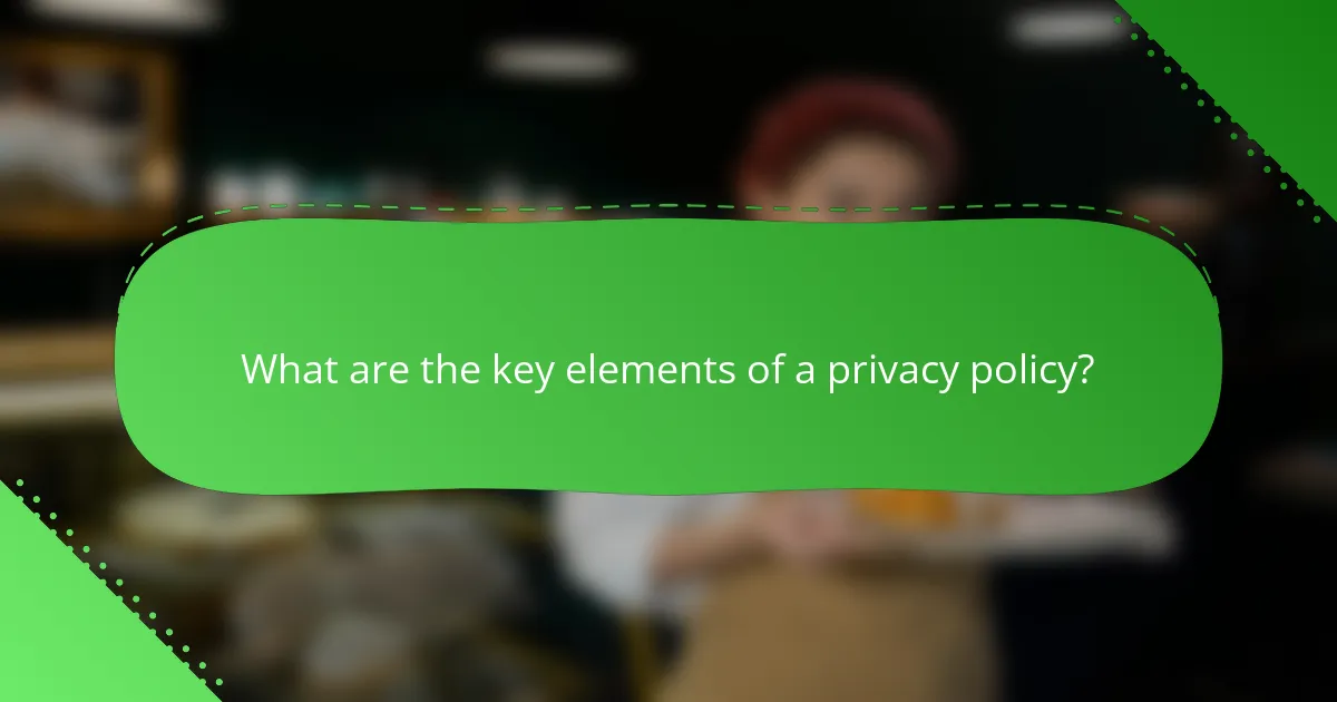 What are the key elements of a privacy policy?